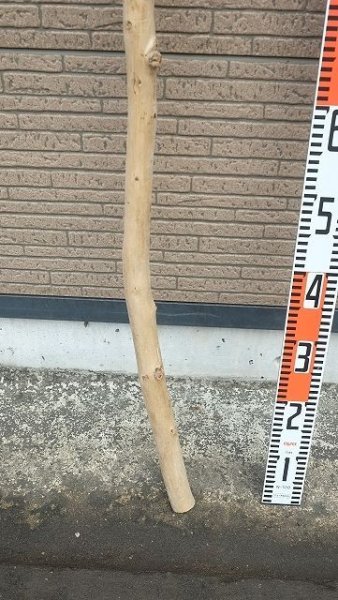 画像5: 棒流木・長尺 (5)