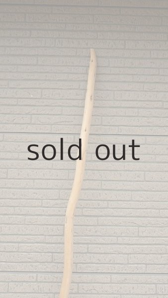 画像4: 棒流木・長尺 (4)