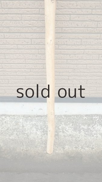 画像2: 棒流木・長尺 (2)