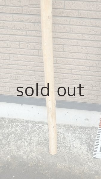 画像5: 棒流木・長尺 (5)