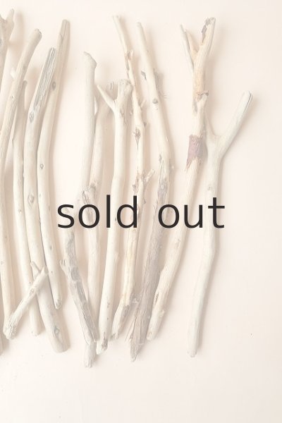 画像4: 小枝流木セット (4)