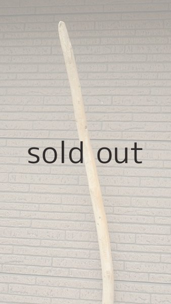 画像4: 棒流木・長尺 (4)