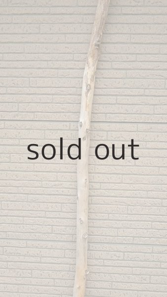 画像3: 棒流木・長尺 (3)