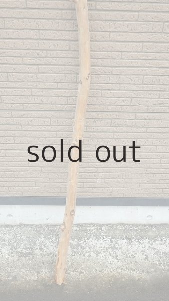 画像2: 棒流木・長尺 (2)