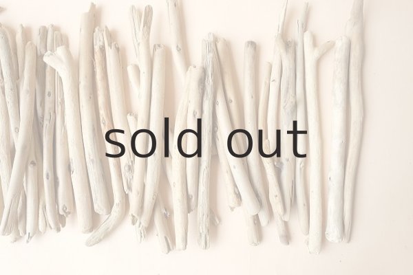 画像3: 小枝流木セット (3)