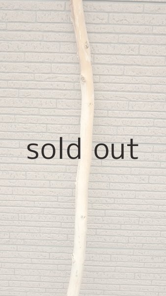 画像3: 棒流木・長尺 (3)