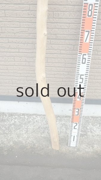 画像5: 棒流木・長尺 (5)