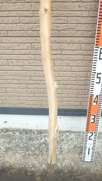 画像5: 棒流木・長尺 (5)