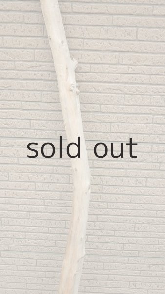 画像3: 棒流木・長尺 (3)