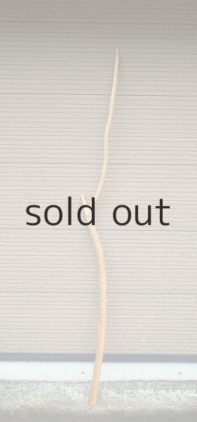 画像2: 棒流木・長尺 (2)