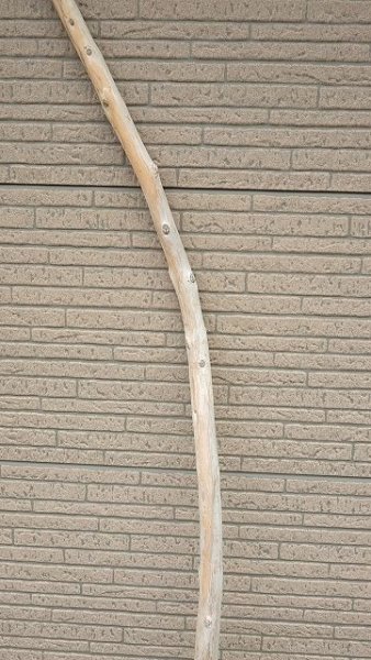 画像3: 棒流木・長尺 (3)