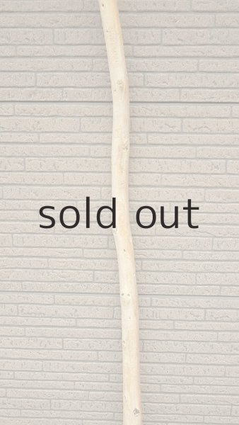 画像3: 棒流木・長尺 (3)