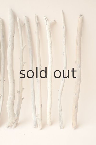 画像4: 小枝流木セット (4)