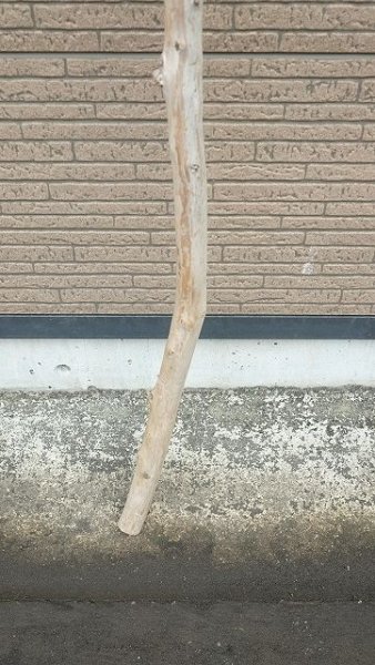 画像2: 棒流木・長尺 (2)