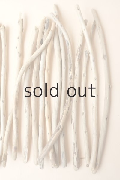 画像3: 棒流木セット (3)