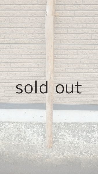 画像2: 棒流木・長尺 (2)