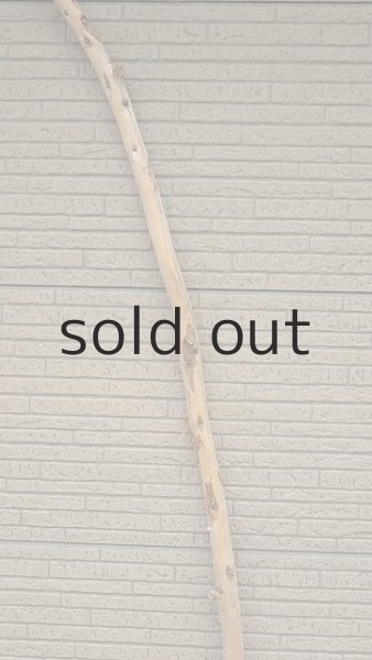 画像3: 棒流木・長尺 (3)