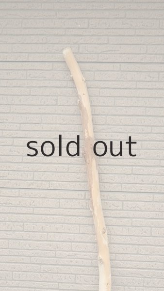 画像4: 棒流木・長尺 (4)