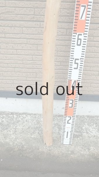 画像5: 棒流木・長尺 (5)