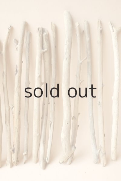 画像3: 小枝流木セット (3)