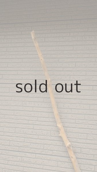 画像4: 棒流木・長尺 (4)