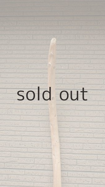 画像4: 棒流木・長尺 (4)