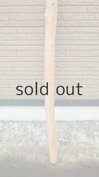 画像2: 棒流木・長尺 (2)