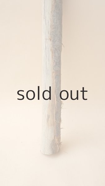 画像2: 棒流木（カット流木） (2)