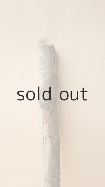 画像3: 棒流木（カット流木） (3)