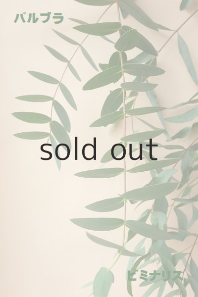 比較画像　右：パルブラ   左：ビミナリス