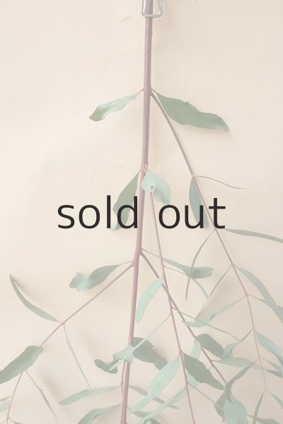 画像2: Dry plants for decor ユーカリ生切り枝（ビミナリス）タイプ500〜700mm (2)