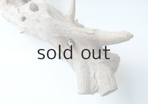 画像9: 変形流木（中型） (9)