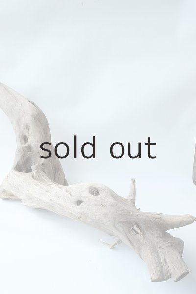 画像8: 変形流木（中型） (8)