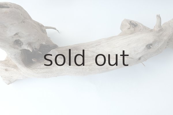 画像6: 変形流木（中型） (6)