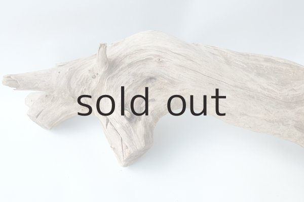 画像3: 変形流木（中型） (3)