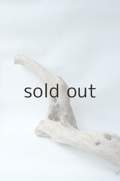 画像7: 変形流木（中型） (7)