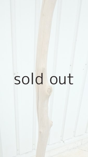 画像6: 大型　幹 (6)