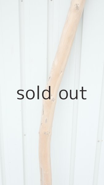 画像3: 大型　棒 (3)