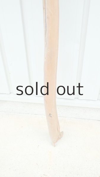 画像2: 大型　棒 (2)