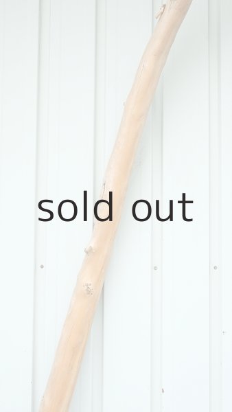 画像4: 大型　棒 (4)