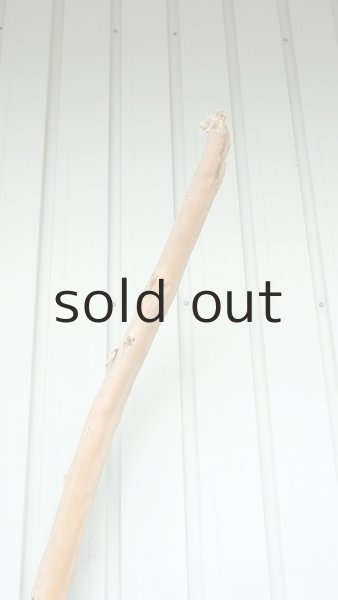 画像5: 大型　棒 (5)