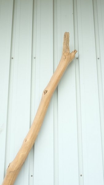 画像4: 大型　棒 (4)