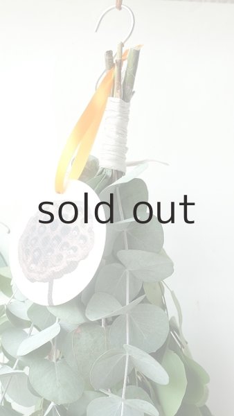 画像2: Dry plants for decor ユーカリ5種シンプルスワッグ (2)