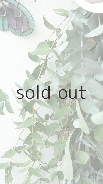 画像3: Dry plants for decor ユーカリ5種シンプルスワッグ (3)