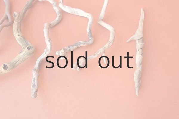 画像3: 流木根セット (3)