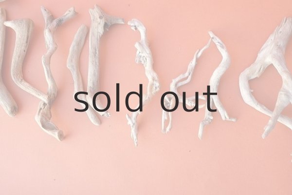 画像3: 流木根セット (3)