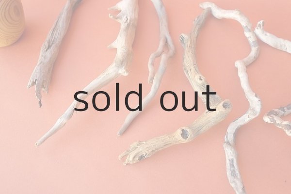 画像2: 流木根セット (2)