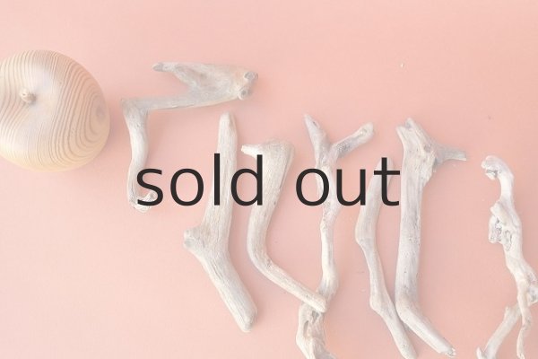 画像2: 流木根セット (2)