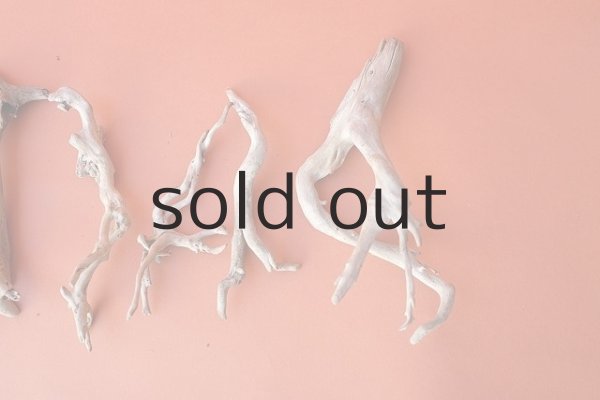 画像4: 流木根セット (4)