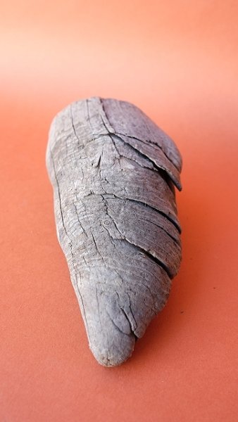 画像3: 変形流木 (3)